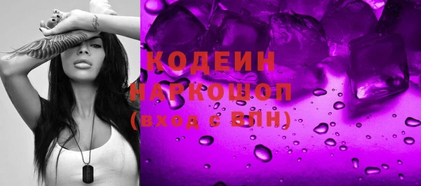 прущие грибы Елизово