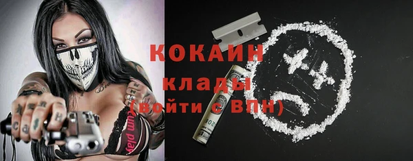прущие грибы Елизово