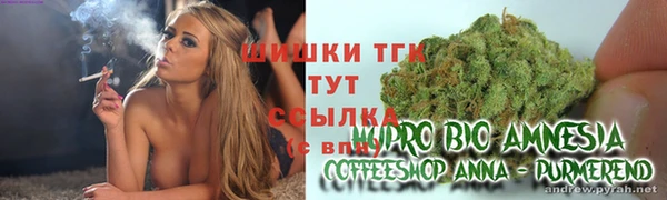 дурь Ельня