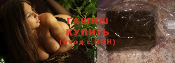 прущие грибы Елизово
