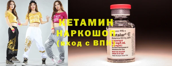 прущие грибы Елизово