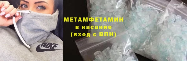 прущие грибы Елизово