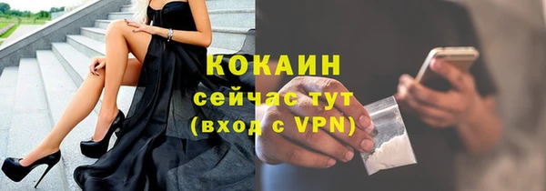 дурь Ельня