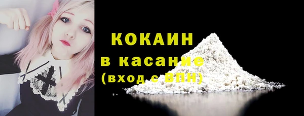 дурь Ельня