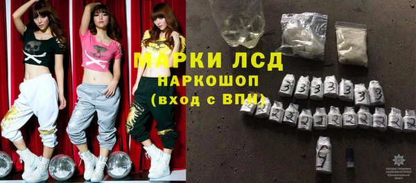 дурь Ельня