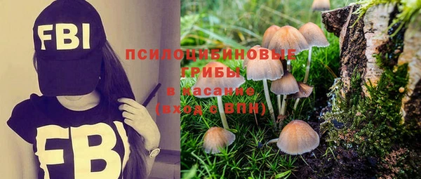 прущие грибы Елизово