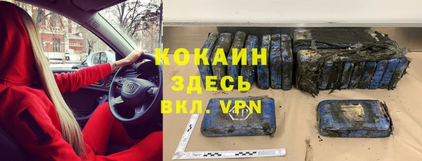 прущие грибы Елизово